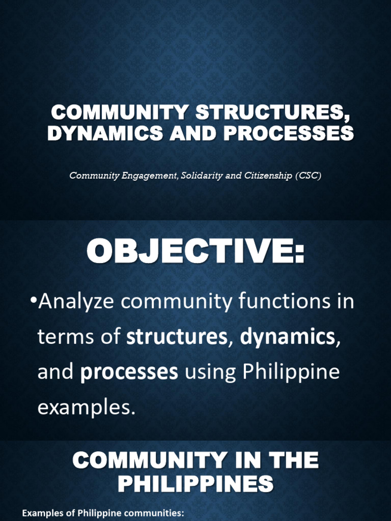 Community Structures and Dynamics in the Philippines | PDF | Community ...