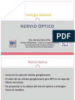 nerviooptico-100503033400-phpapp02(1)