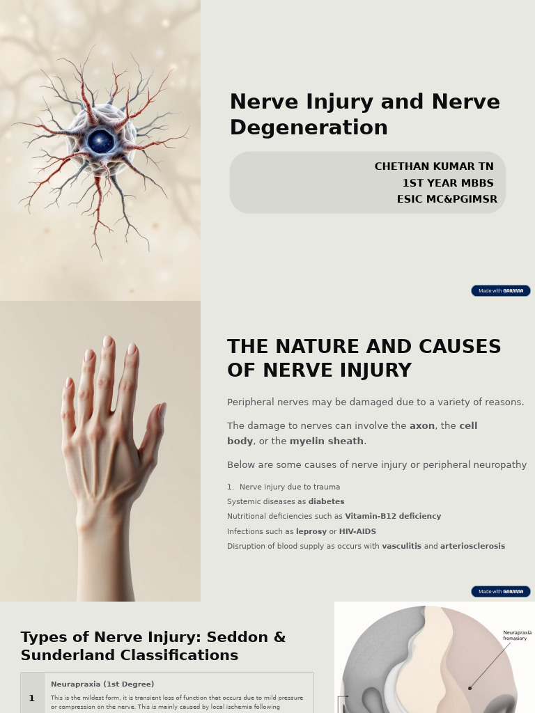 Causes and Types of Nerve Injury | PDF