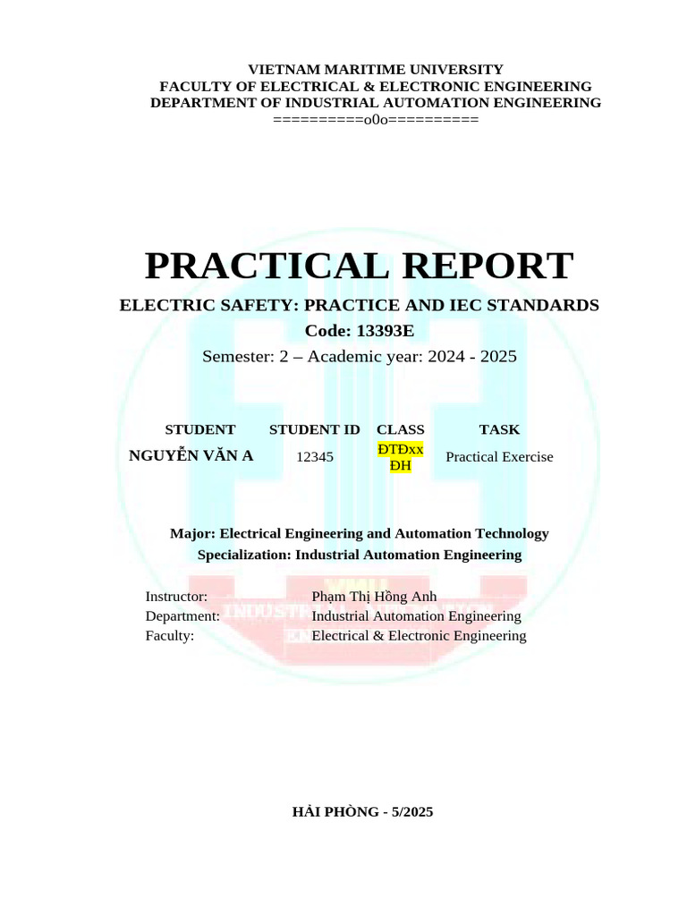 Electric Safety Practices & IEC Standards | PDF