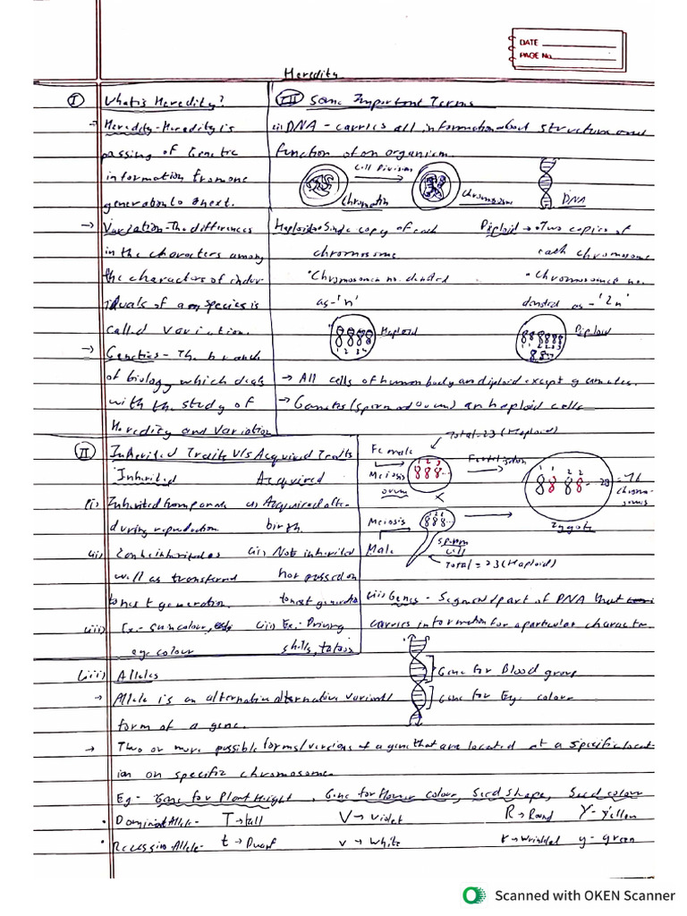 Heredity Class 10 Short Notes by Kanav | PDF