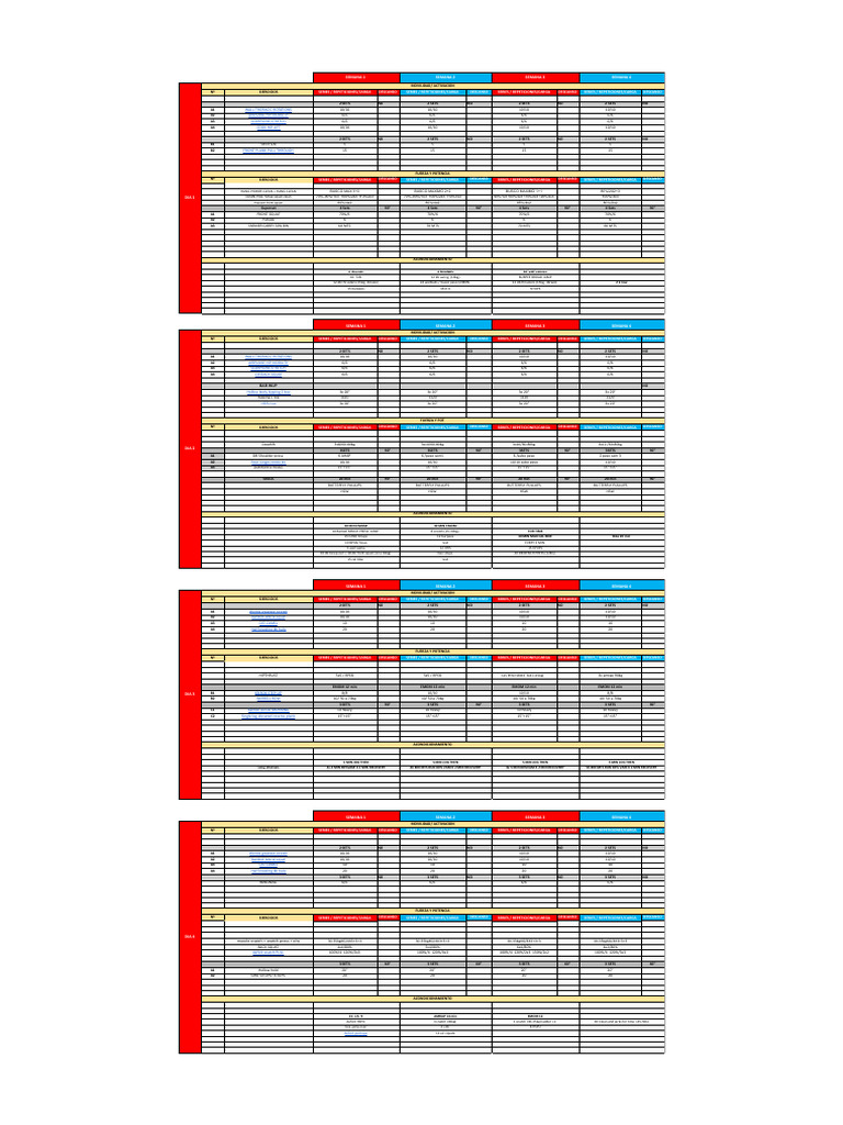 Weekly Workout Plan: Strength & Mobility | PDF | Management Of Obesity ...