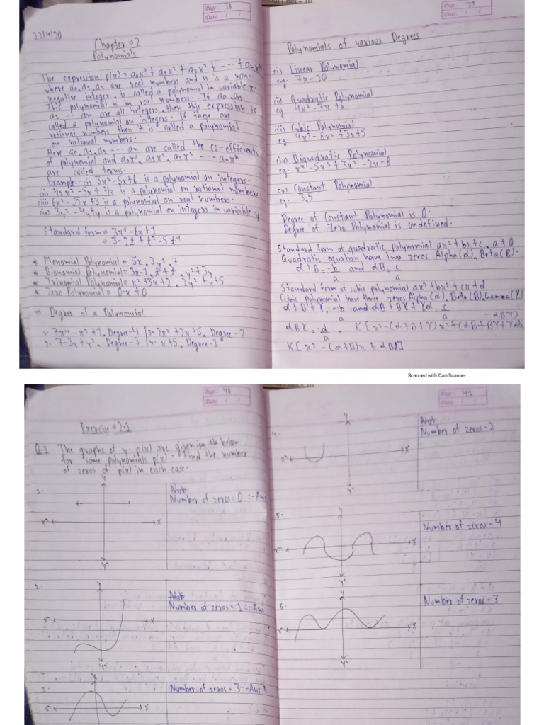 WT Chapter+2+Polynomial | PDF