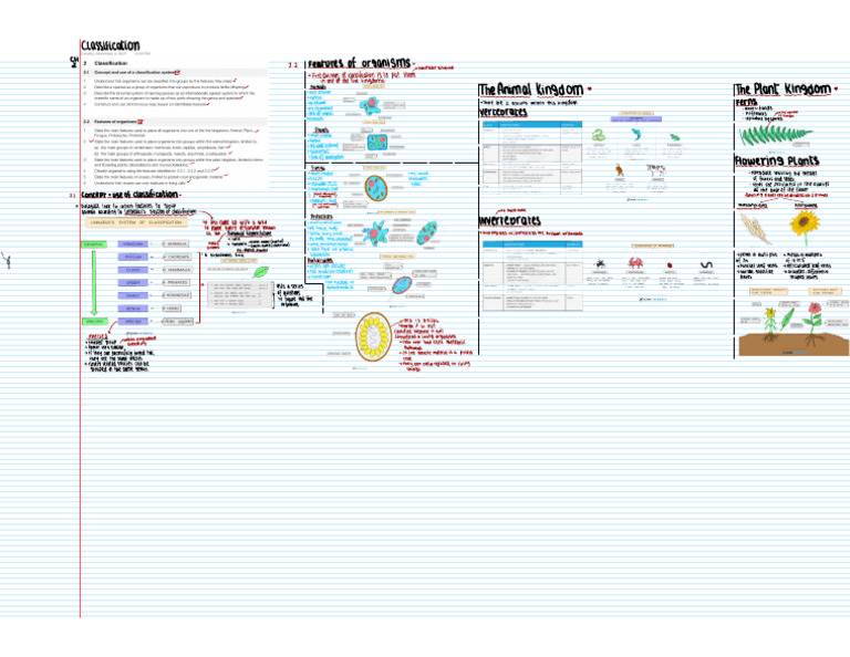 Chapter 2 Classification Notes | PDF