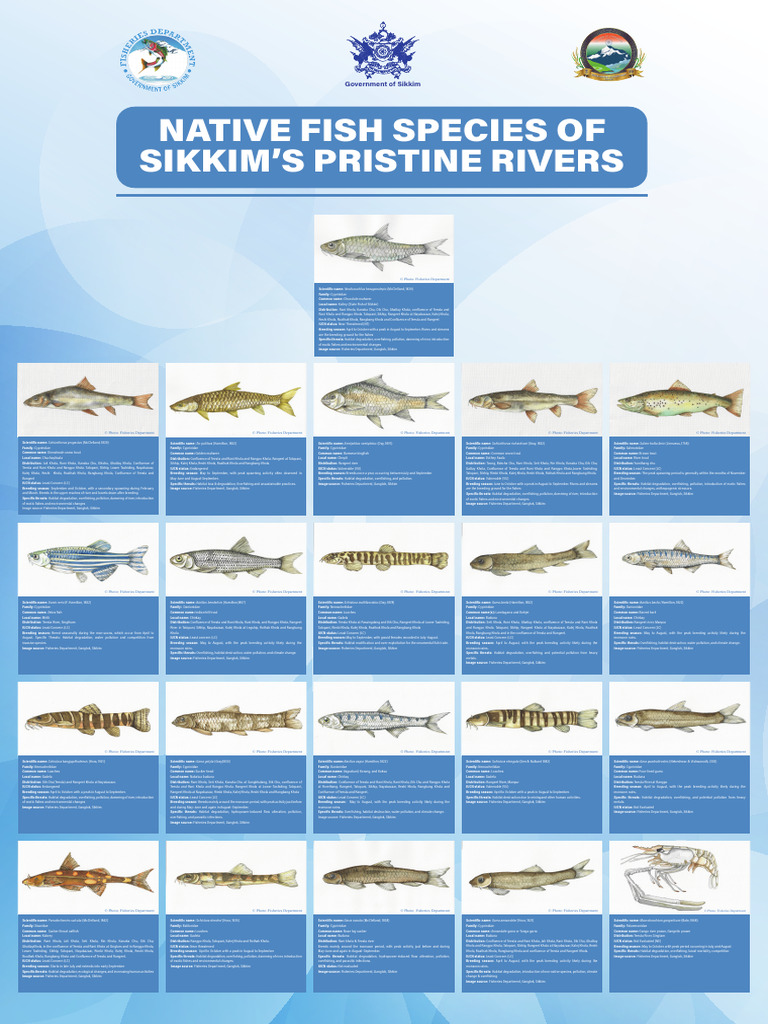 Fisheries Native Species 20X30INCH | PDF