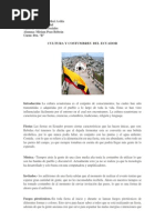 Download Cultura y Costumbres Del Ecuador by Fer Nando SN96753718 doc pdf