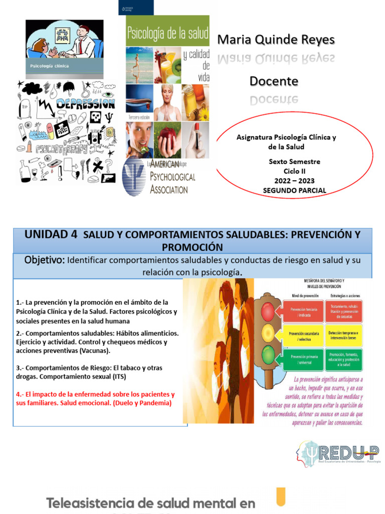 Unidad Iv Tema 4 Duelo y Pandemia | PDF | Dolor | Las emociones