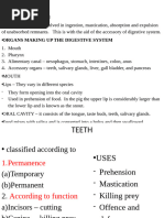 Sheep Digestive System Overview | PDF | Digestion | Ruminant