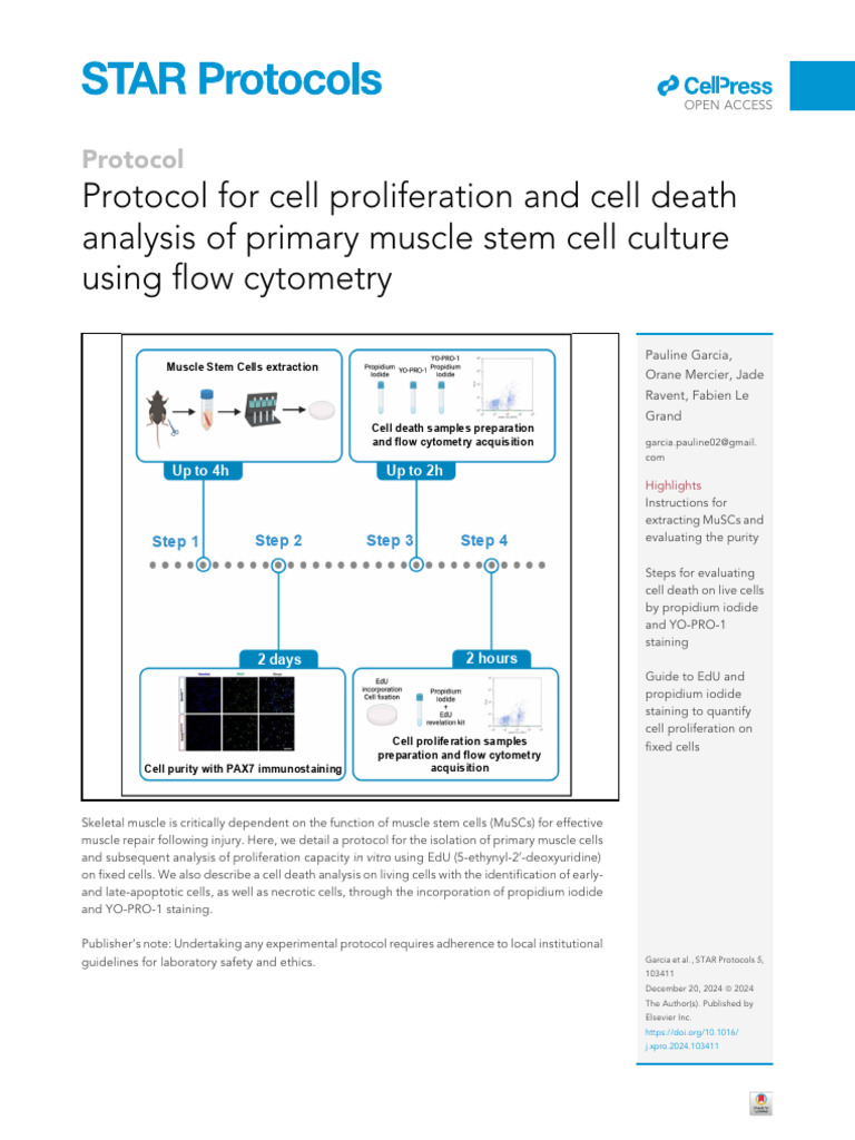 Prolif Analysis On Primary | PDF | Fluorescence Microscope | Immunostaining