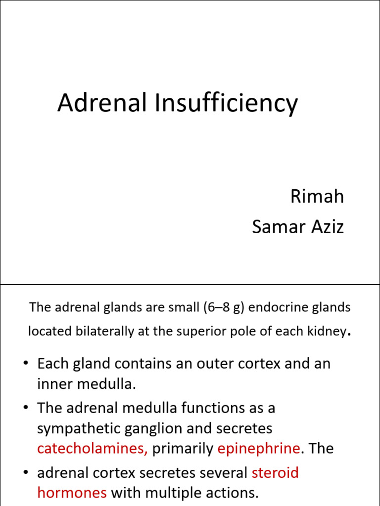 Understanding Adrenal Insufficiency | PDF | Adrenal Gland | Cortisol