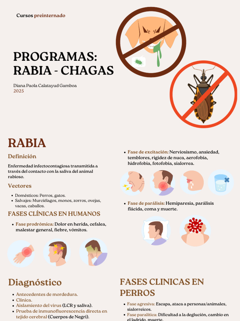 PROGRAMAS RABIA:CHAGAS | PDF | Rabia | Enfermedades y trastornos