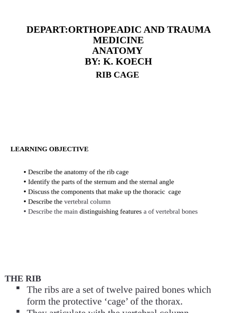 ANATOMY OF RIB CAGE - Slides | PDF | Vertebra | Thorax