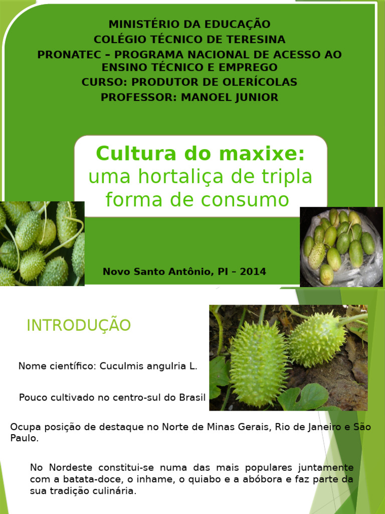 A Cultura Do Maxixe | PDF | Agricultura | Fertilizante