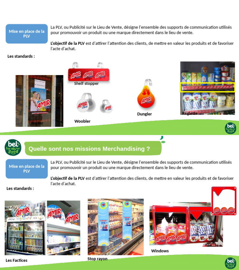 Guide sur la PLV en Point de Vente | PDF