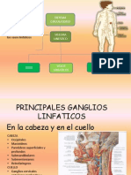 Exposicion Anatomia!!