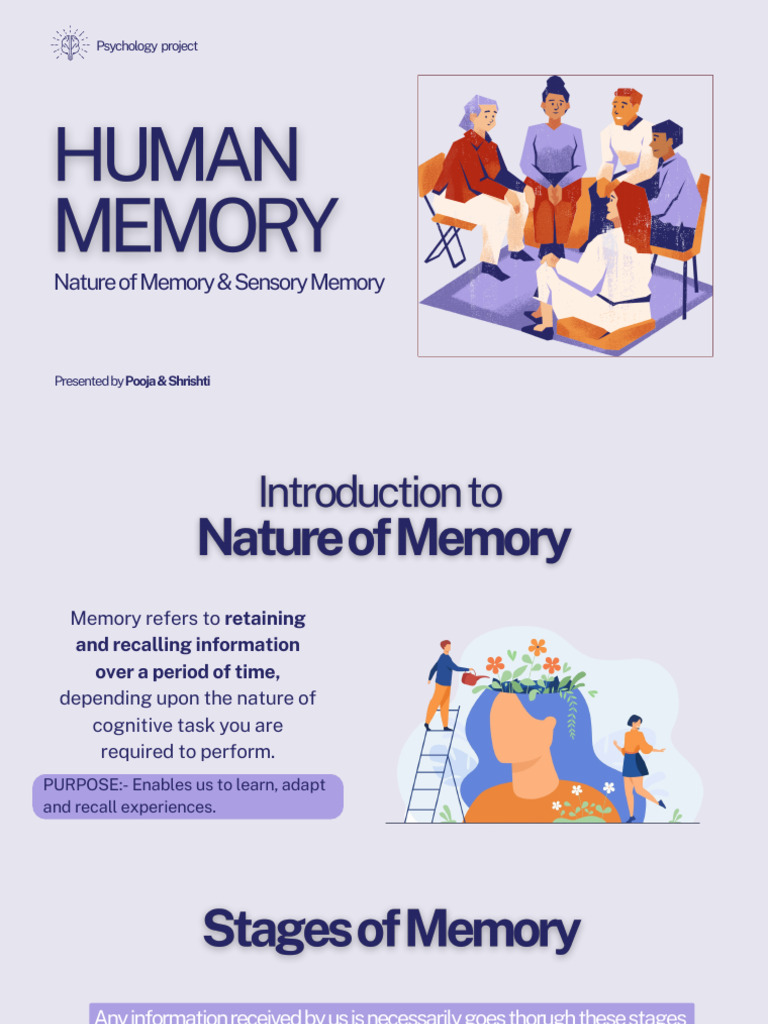 Understanding Memory Stages in Psychology | PDF | Memory | Recall (Memory)