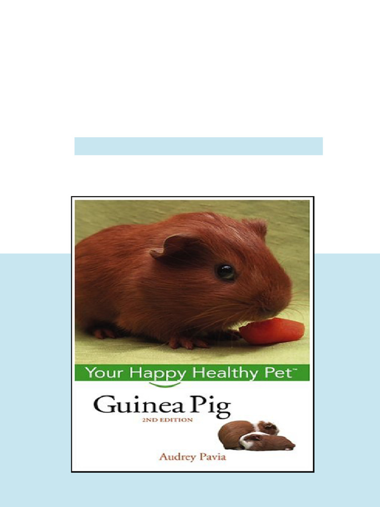PPT - Guinea Pigs PowerPoint Presentation, free download - ID:2329882, image size:768x1024