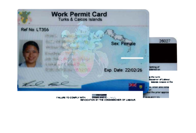 Turks & Caicos Work Permit Card Details | PDF