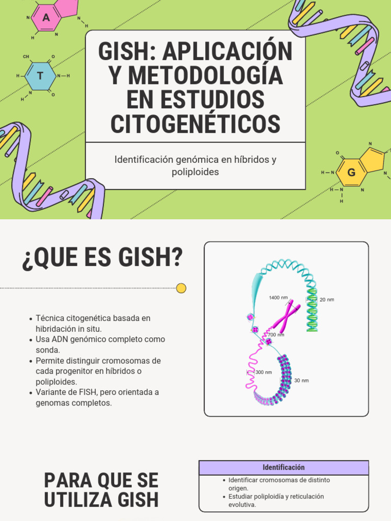 Genetic Variation Education Presentation in Light Green Purple ...