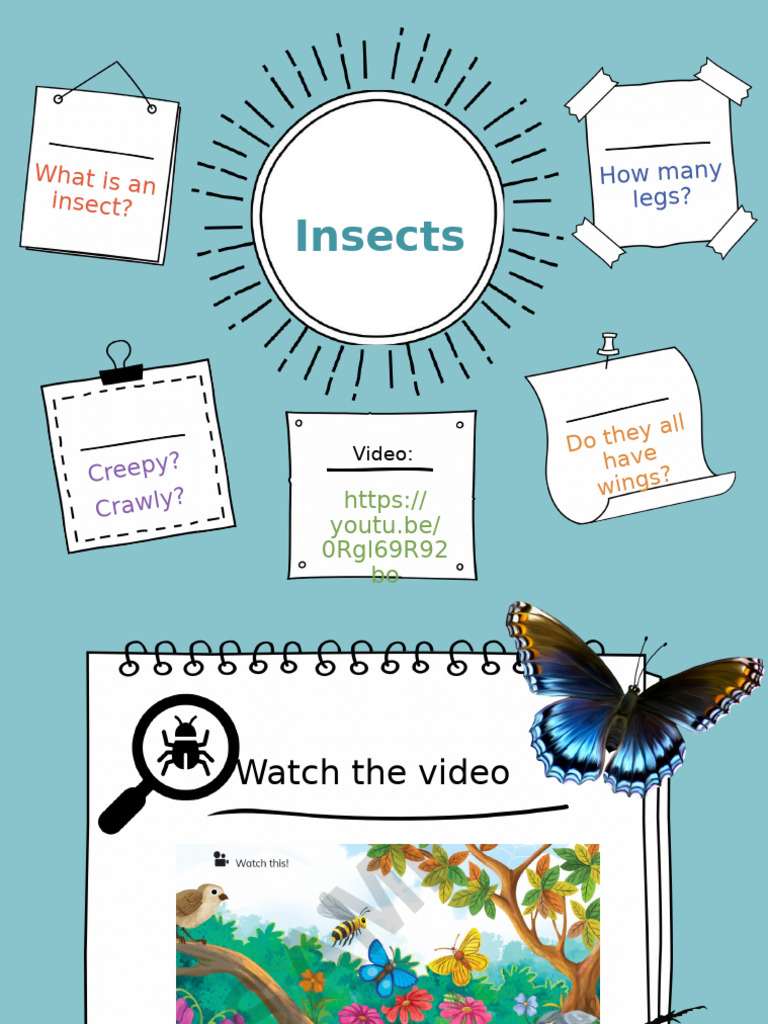 Understanding Insects and Crickets | PDF