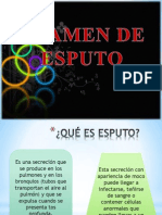 Examen de Esputo