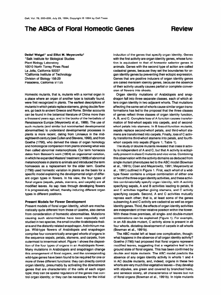 Floral Homeotic Genes Explained | PDF | Arabidopsis Thaliana | Flowers