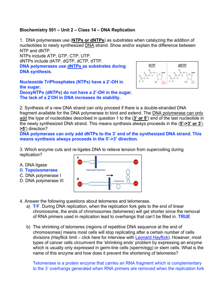 DNA Replication Mechanisms Explained | PDF | Dna Replication | Dna