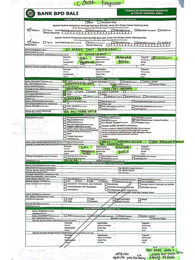 Contoh Pengisian Formulir BSM | PDF