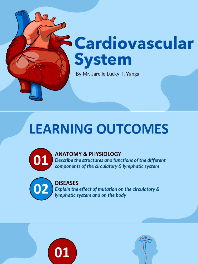 Overview of the Cardiovascular System | PDF | Atrium (Heart) | Heart