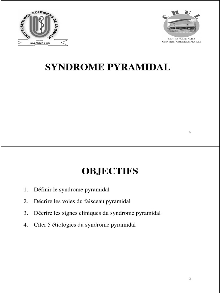 Comprendre le syndrome pyramidal | PDF | Système nerveux | Anatomie humaine