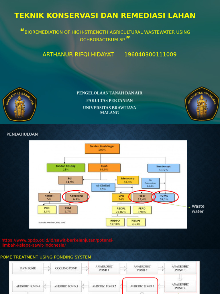 RIFQI | PDF | Biodegradable Waste Management | Chemistry