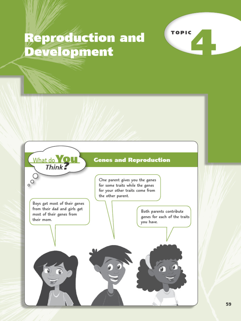 Understanding Reproduction and Development | PDF | Sexual Reproduction ...