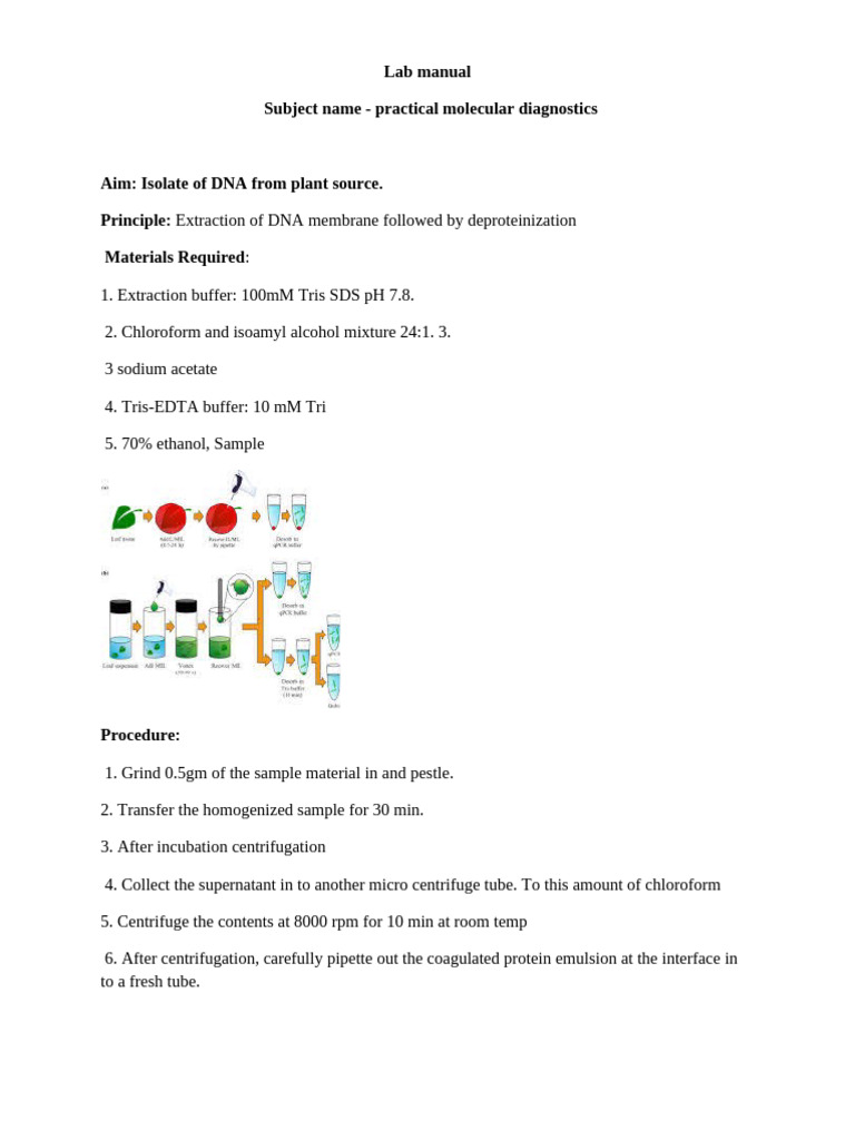 Lab Manual Molecular Diagnostics | PDF | Bacteria | Escherichia Coli