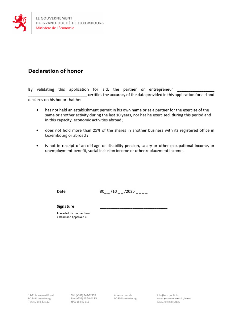 Luxembourg Aid Application Declaration | PDF
