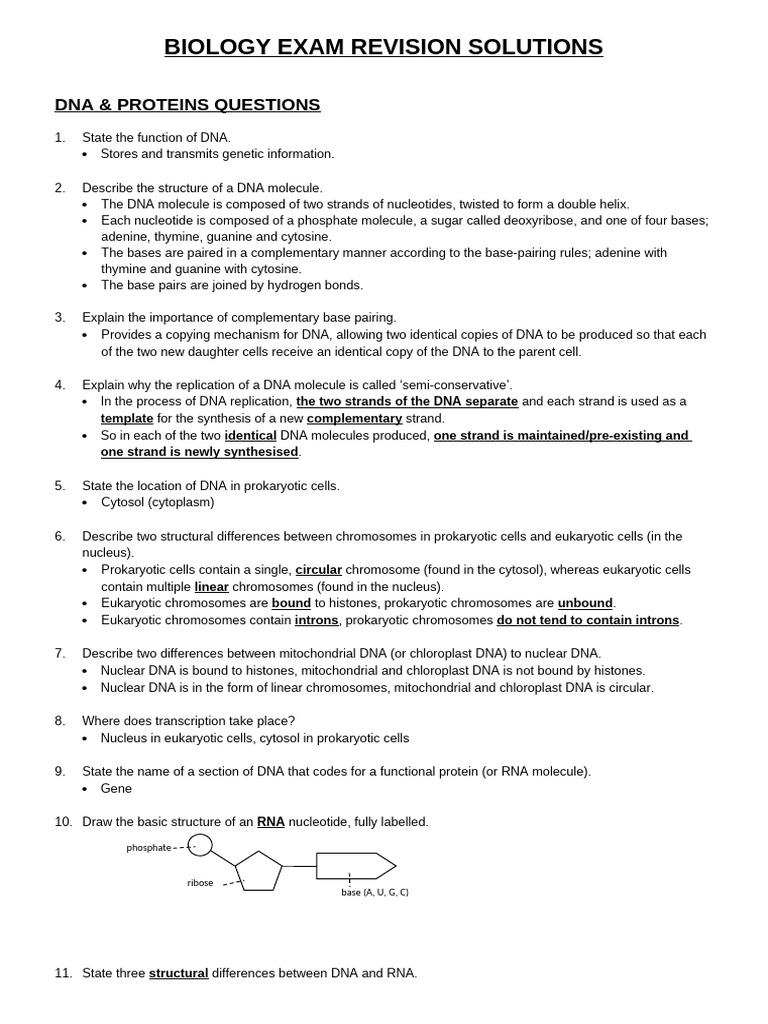 Biology Exam Revision (2024) Solutions Copy | PDF | Messenger Rna | Mitosis