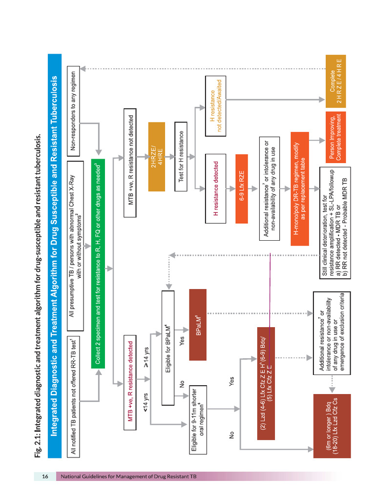New DRTB Algorithm | PDF