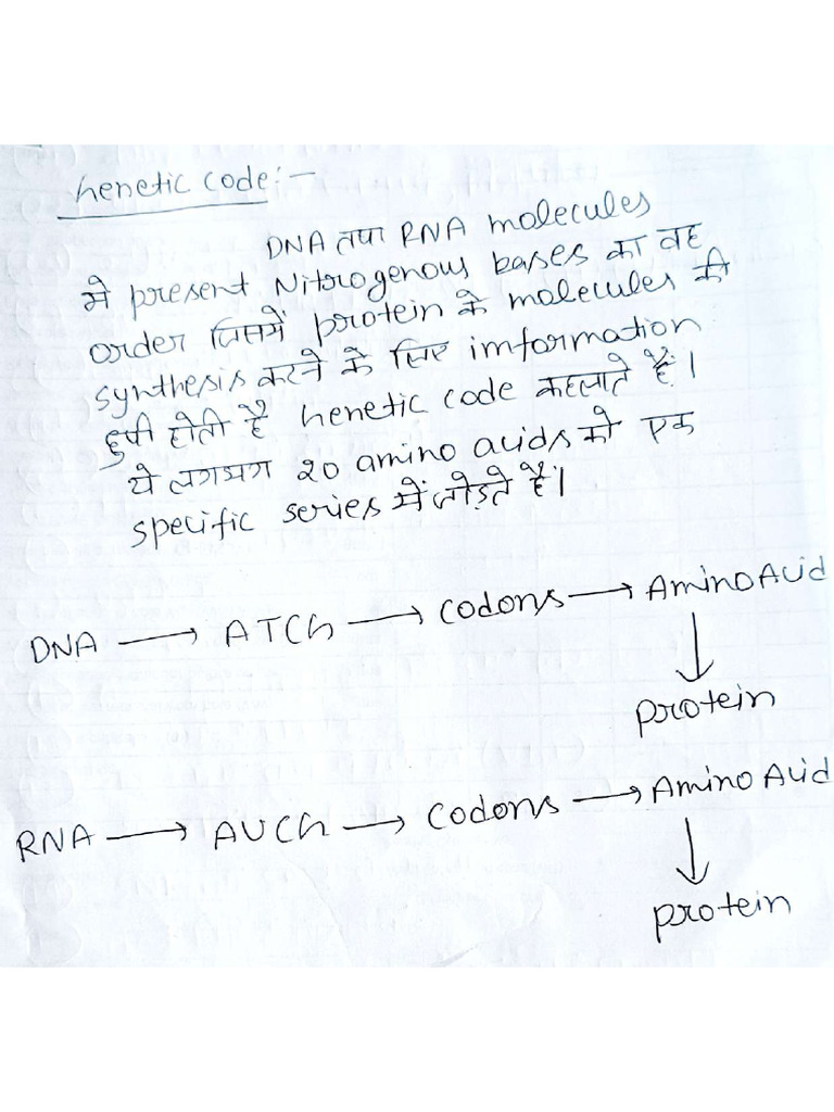 Genetic Code | PDF