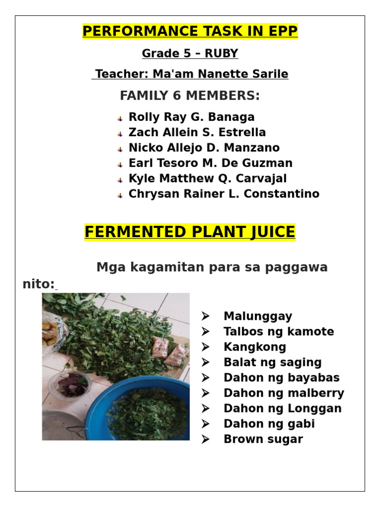 Final Output Epp | PDF