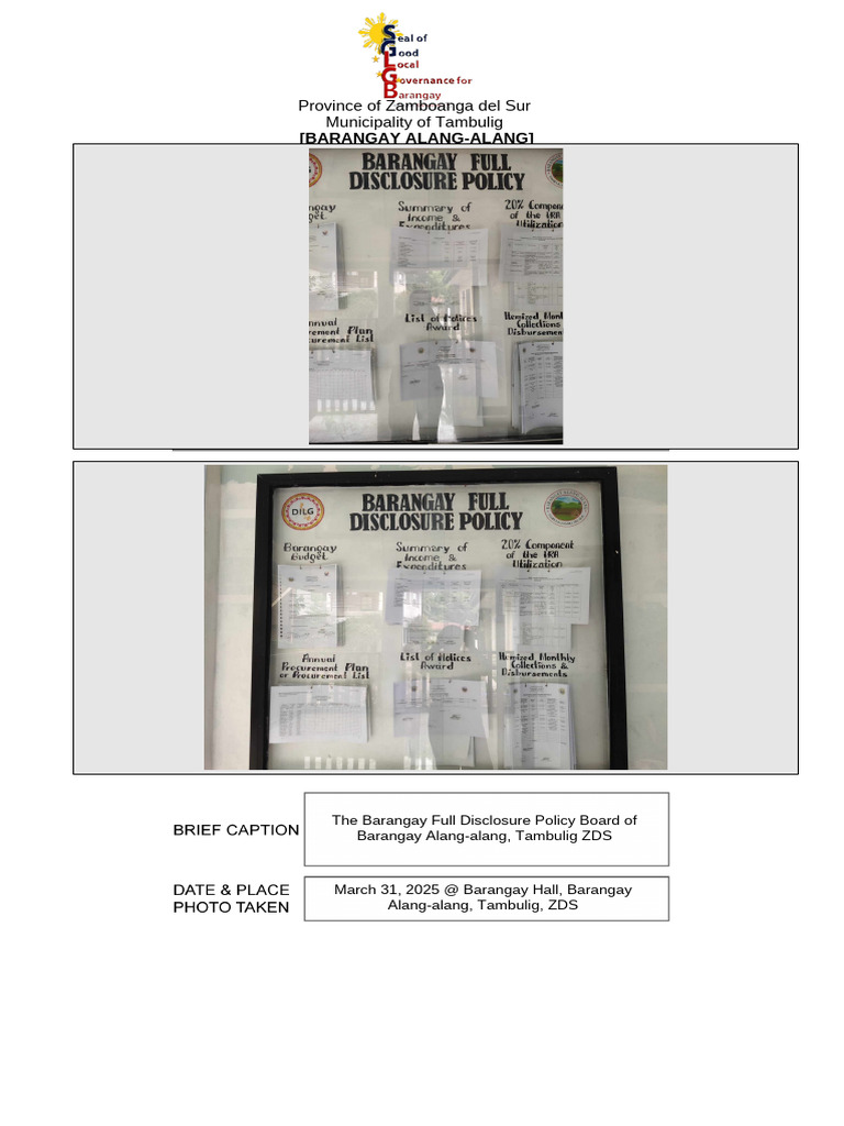 SGLGB Template - BFDP | PDF