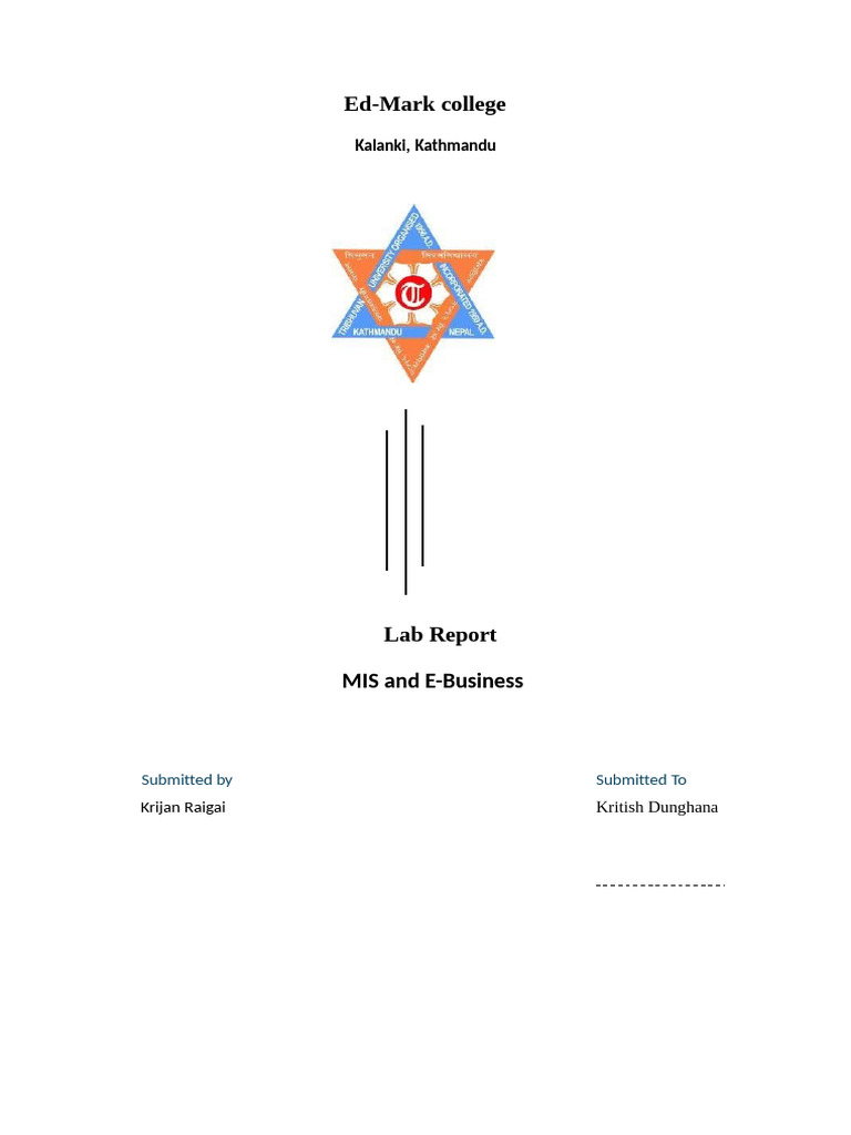 E-Commerce and MIS Lab Report | PDF | Internet | Computer Network