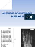 Anatomia Radiologica Membros Inferiores