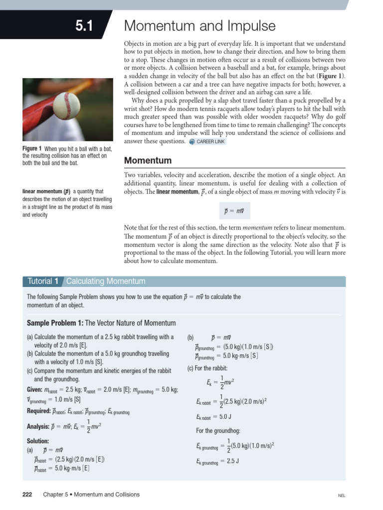 Understanding Momentum and Impulse | PDF | Momentum | Force