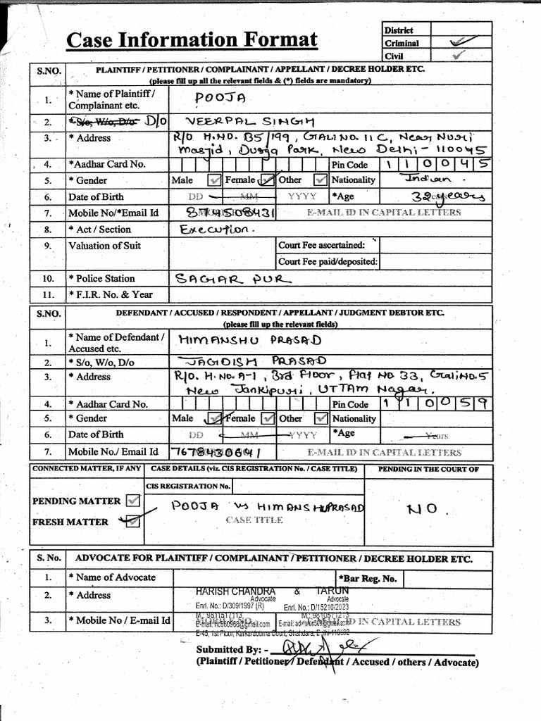 Execution Petition Details and Format | PDF | Practice Of Law