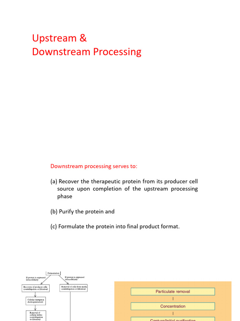 Downstream Processing in Biopharmaceuticals | PDF | Protein ...
