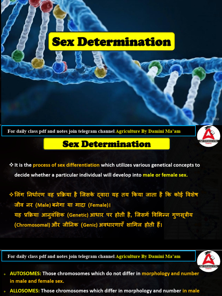 Lecture 21 of Fundamentals of Genetics | PDF