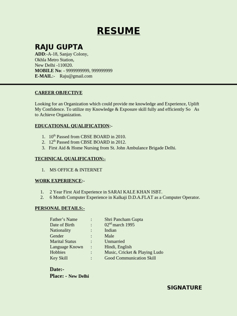Raju Gupta Resume: Skills & Experience | PDF