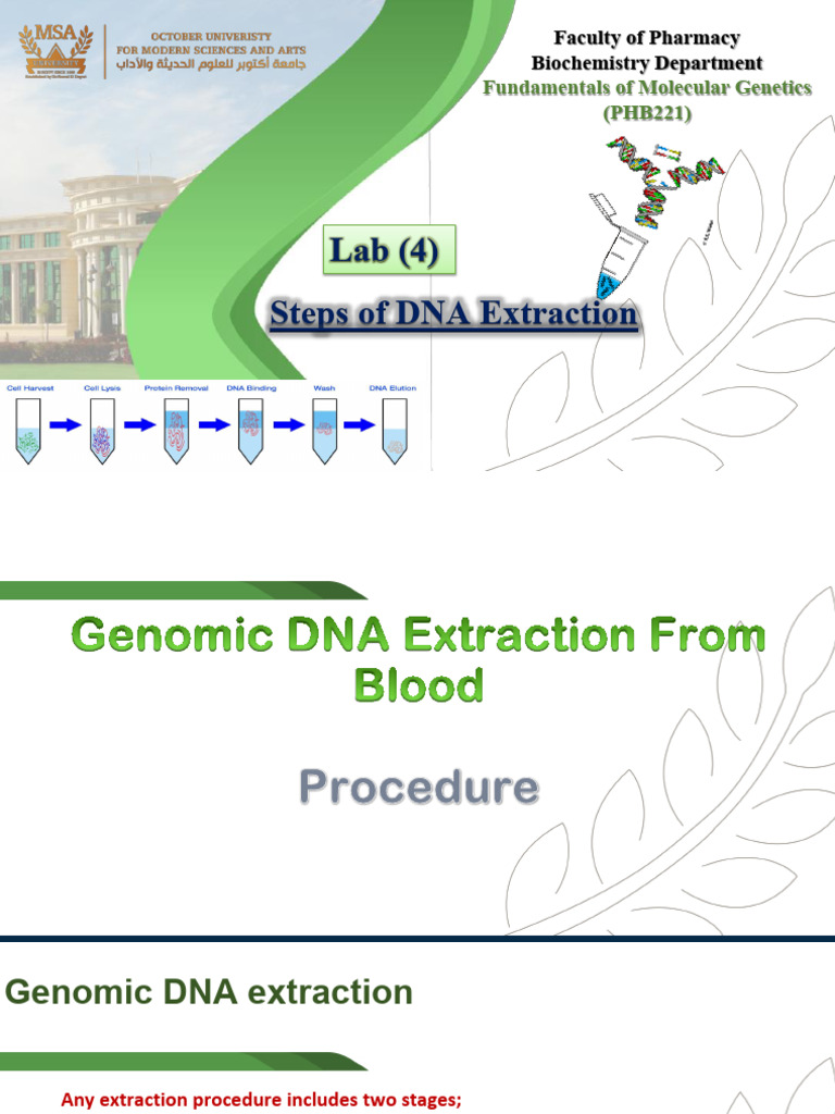 DNA Extraction Procedure from Blood | PDF | Dna | Centrifuge