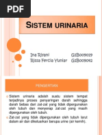 Download PPT URINARIA by Inna Riyani SN96782848 doc pdf