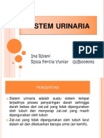 PPT URINARIA