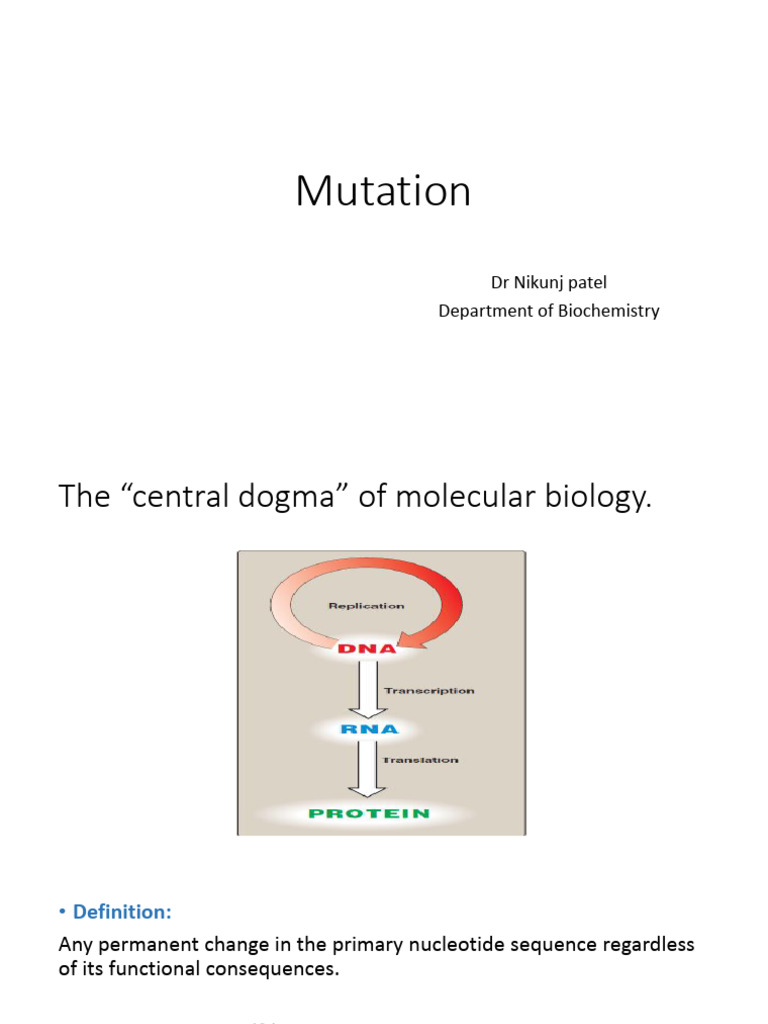 Understanding Genetic Mutations | PDF | Point Mutation | Genetic Code
